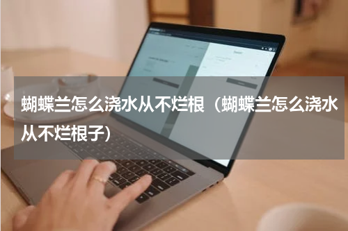 蝴蝶兰怎么浇水从不烂根（蝴蝶兰怎么浇水从不烂根子）