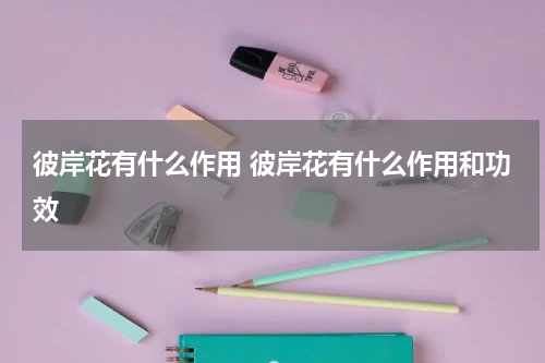 彼岸花有什么作用 彼岸花有什么作用和功效