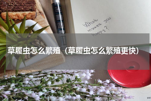 草履虫怎么繁殖（草履虫怎么繁殖更快）