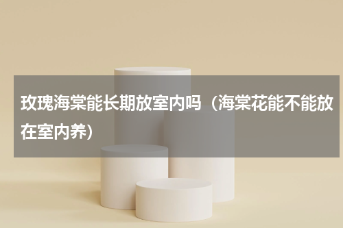 玫瑰海棠能长期放室内吗(海棠花能不能放在室内养)