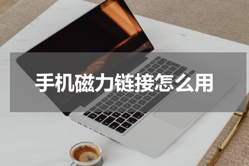 手机磁力链接怎么用