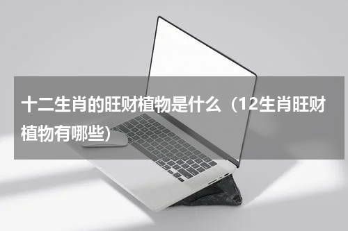 十二生肖的旺财植物是什么(12生肖旺财植物有哪些)