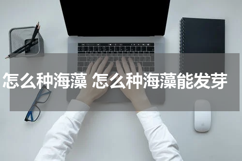 怎么种海藻 怎么种海藻能发芽