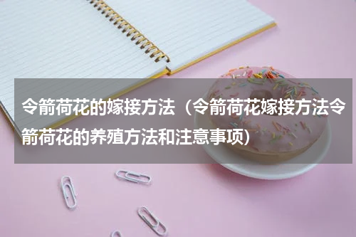 令箭荷花的嫁接方法（令箭荷花嫁接方法令箭荷花的养殖方法和注意事项）