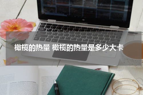 橄榄的热量 橄榄的热量是多少大卡