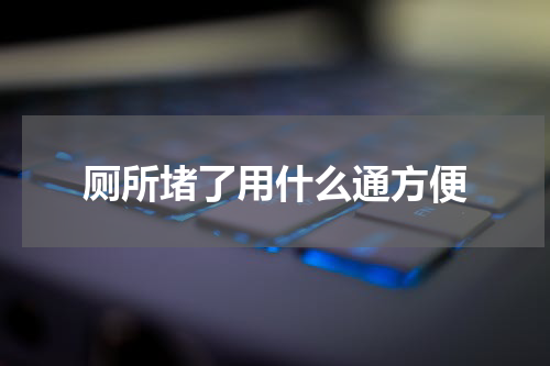 厕所堵了用什么通方便