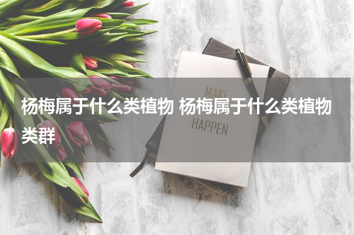 杨梅属于什么类植物 杨梅属于什么类植物类群