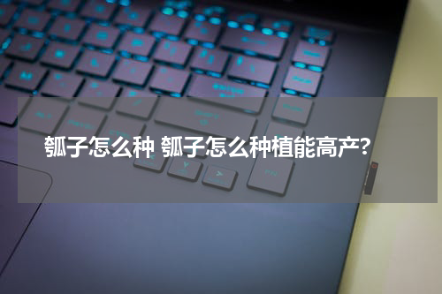 瓠子怎么种 瓠子怎么种植能高产?