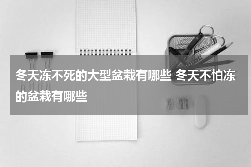 冬天冻不死的大型盆栽有哪些 冬天不怕冻的盆栽有哪些