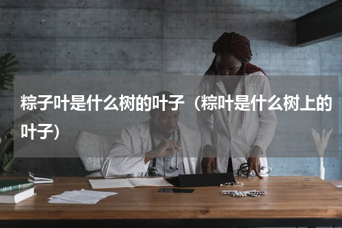 粽子叶是什么树的叶子（粽叶是什么树上的叶子）