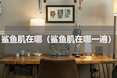 鲨鱼肌在哪（鲨鱼肌在哪一遍）