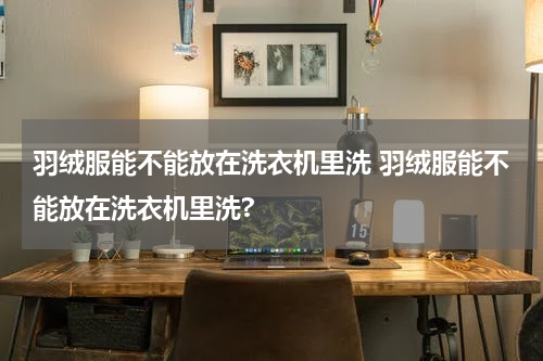 羽绒服能不能放在洗衣机里洗 羽绒服能不能放在洗衣机里洗?