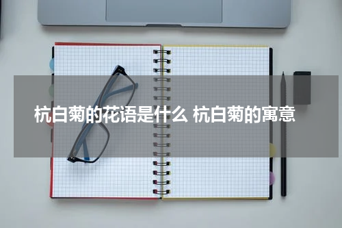 杭白菊的花语是什么 杭白菊的寓意