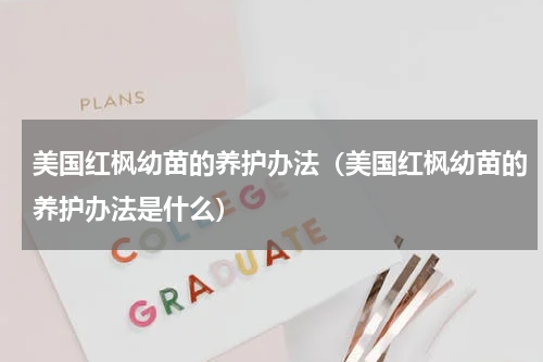 美国红枫幼苗的养护办法（美国红枫幼苗的养护办法是什么）