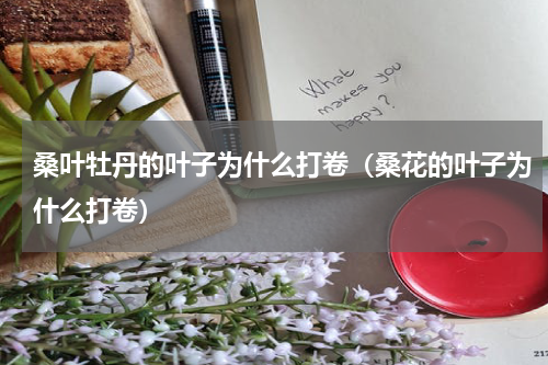 桑叶牡丹的叶子为什么打卷（桑花的叶子为什么打卷）