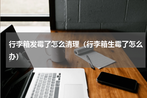 行李箱发霉了怎么清理(行李箱生霉了怎么办)