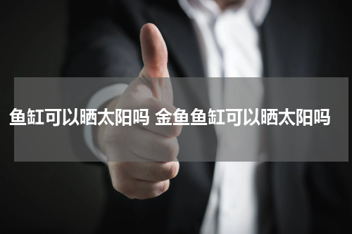 鱼缸可以晒太阳吗 金鱼鱼缸可以晒太阳吗