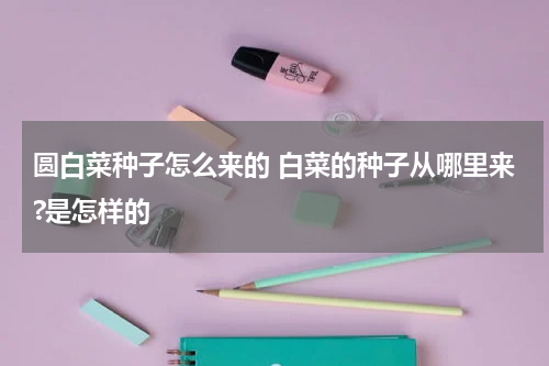 圆白菜种子怎么来的 白菜的种子从哪里来?是怎样的