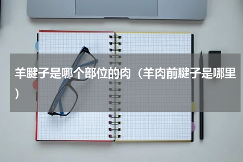 羊腱子是哪个部位的肉（羊肉前腱子是哪里）