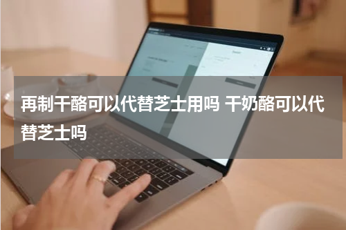 再制干酪可以代替芝士用吗 干奶酪可以代替芝士吗