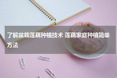 了解盆栽莲藕种植技术 莲藕家庭种植简单方法