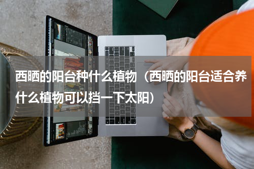 西晒的阳台种什么植物（西晒的阳台适合养什么植物可以挡一下太阳）