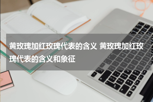 黄玫瑰加红玫瑰代表的含义 黄玫瑰加红玫瑰代表的含义和象征
