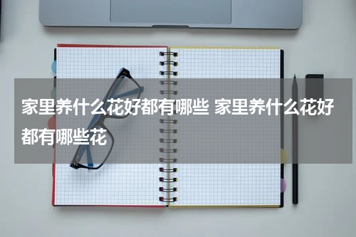 家里养什么花好都有哪些 家里养什么花好都有哪些花