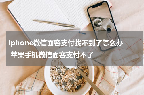 iphone微信面容支付找不到了怎么办 苹果手机微信面容支付不了