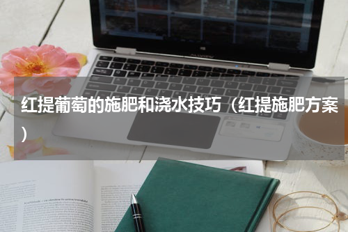 红提葡萄的施肥和浇水技巧(红提施肥方案)