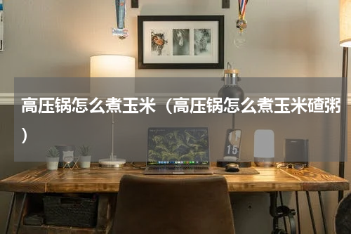 高压锅怎么煮玉米(高压锅怎么煮玉米碴粥)