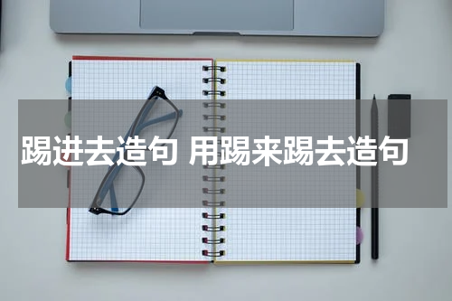 踢进去造句 用踢来踢去造句