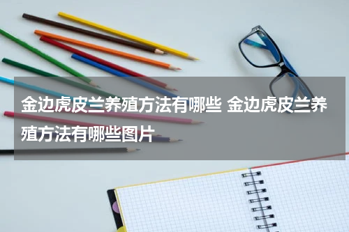 金边虎皮兰养殖方法有哪些 金边虎皮兰养殖方法有哪些图片
