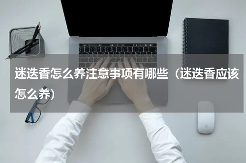 迷迭香怎么养注意事项有哪些（迷迭香应该怎么养）