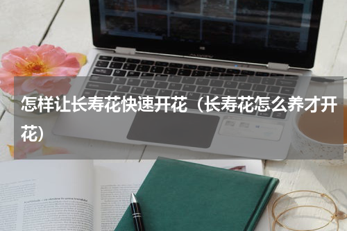 怎样让长寿花快速开花（长寿花怎么养才开花）