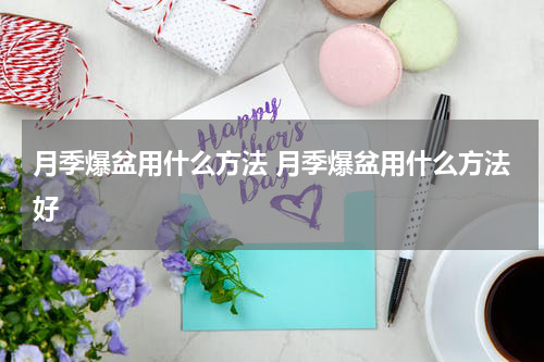 月季爆盆用什么方法 月季爆盆用什么方法好