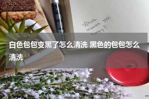 白色包包变黑了怎么清洗 黑色的包包怎么清洗