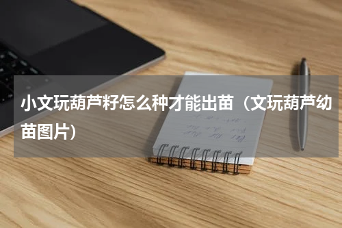 小文玩葫芦籽怎么种才能出苗(文玩葫芦幼苗图片)