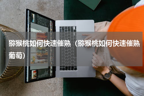 猕猴桃如何快速催熟(猕猴桃如何快速催熟葡萄)