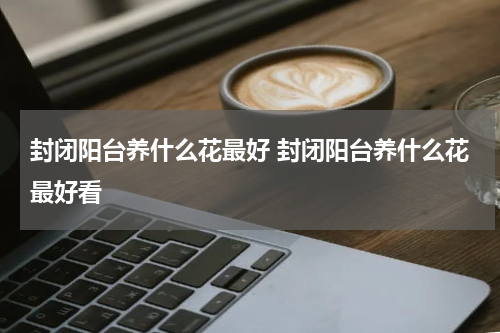 封闭阳台养什么花最好 封闭阳台养什么花最好看