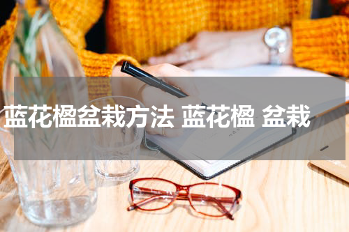 蓝花楹盆栽方法 蓝花楹 盆栽