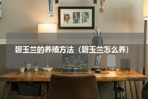 碧玉兰的养殖方法（碧玉兰怎么养）