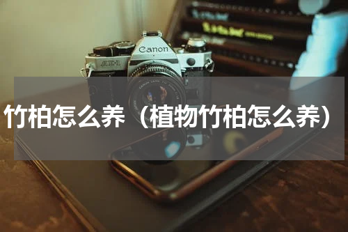 竹柏怎么养(植物竹柏怎么养)