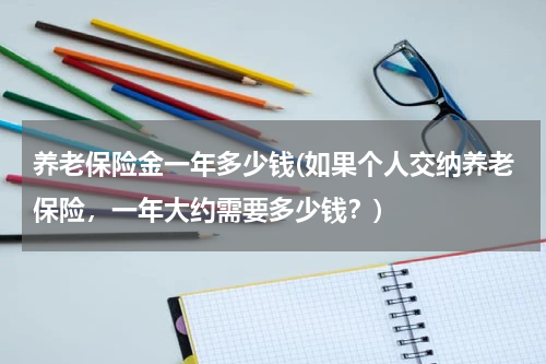 养老保险金一年多少钱(如果个人交纳养老保险，一年大约需要多少钱？)
