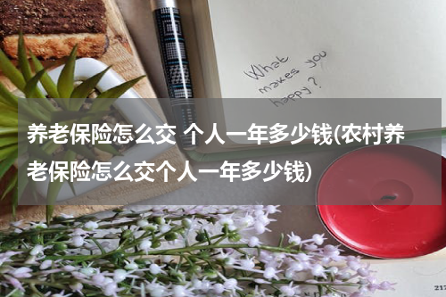 养老保险怎么交 个人一年多少钱(农村养老保险怎么交个人一年多少钱)