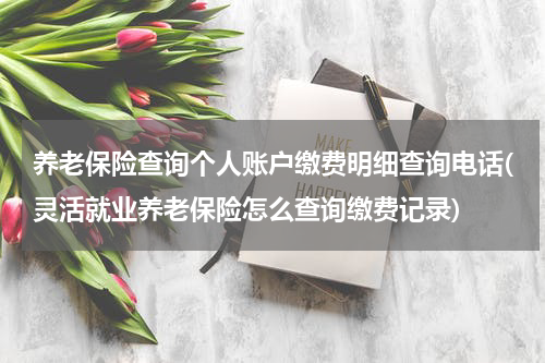 养老保险查询个人账户缴费明细查询电话(灵活就业养老保险怎么查询缴费记录)