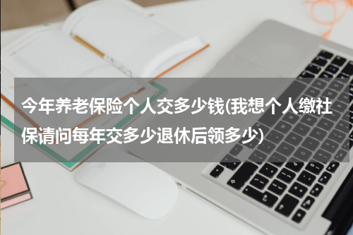 今年养老保险个人交多少钱(我想个人缴社保请问每年交多少退休后领多少)