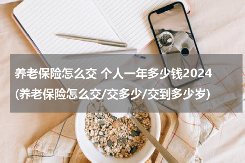 养老保险怎么交 个人一年多少钱2024(养老保险怎么交/交多少/交到多少岁)