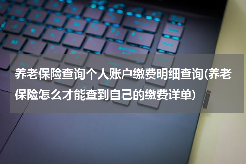 养老保险查询个人账户缴费明细查询(养老保险怎么才能查到自己的缴费详单)