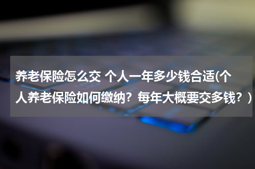 养老保险怎么交 个人一年多少钱合适(个人养老保险如何缴纳？每年大概要交多钱？)